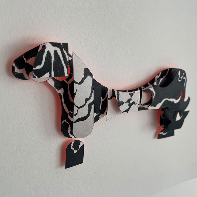 Anchored Animal