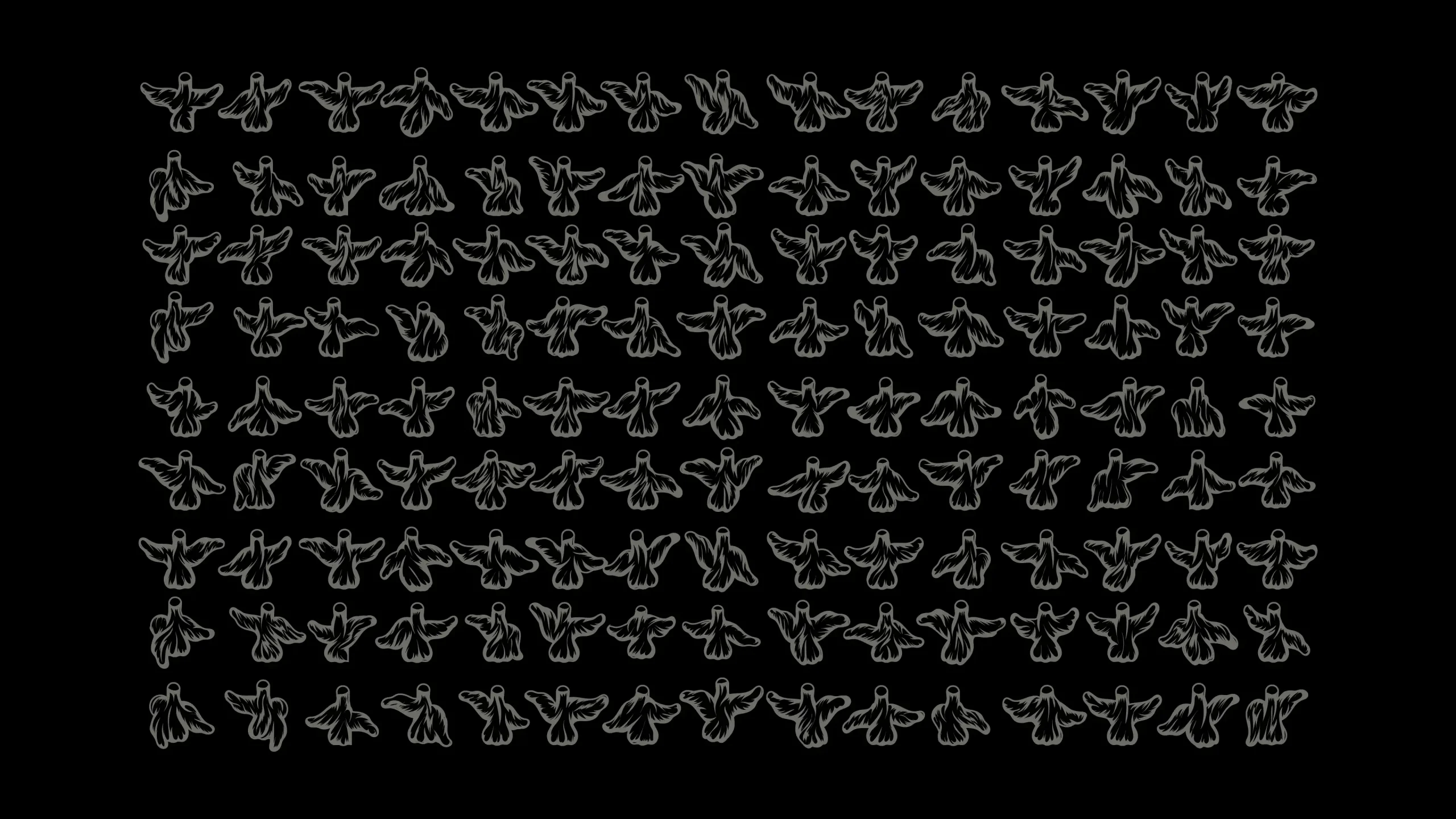 pajaros pajaros
