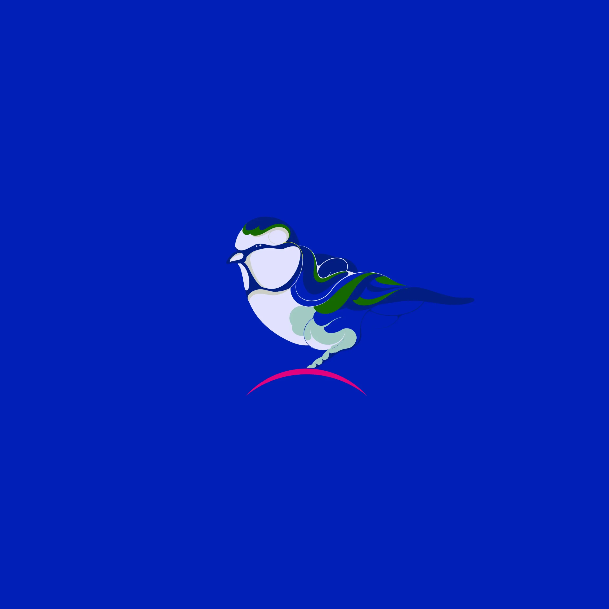 36_bird_sati_illustration
