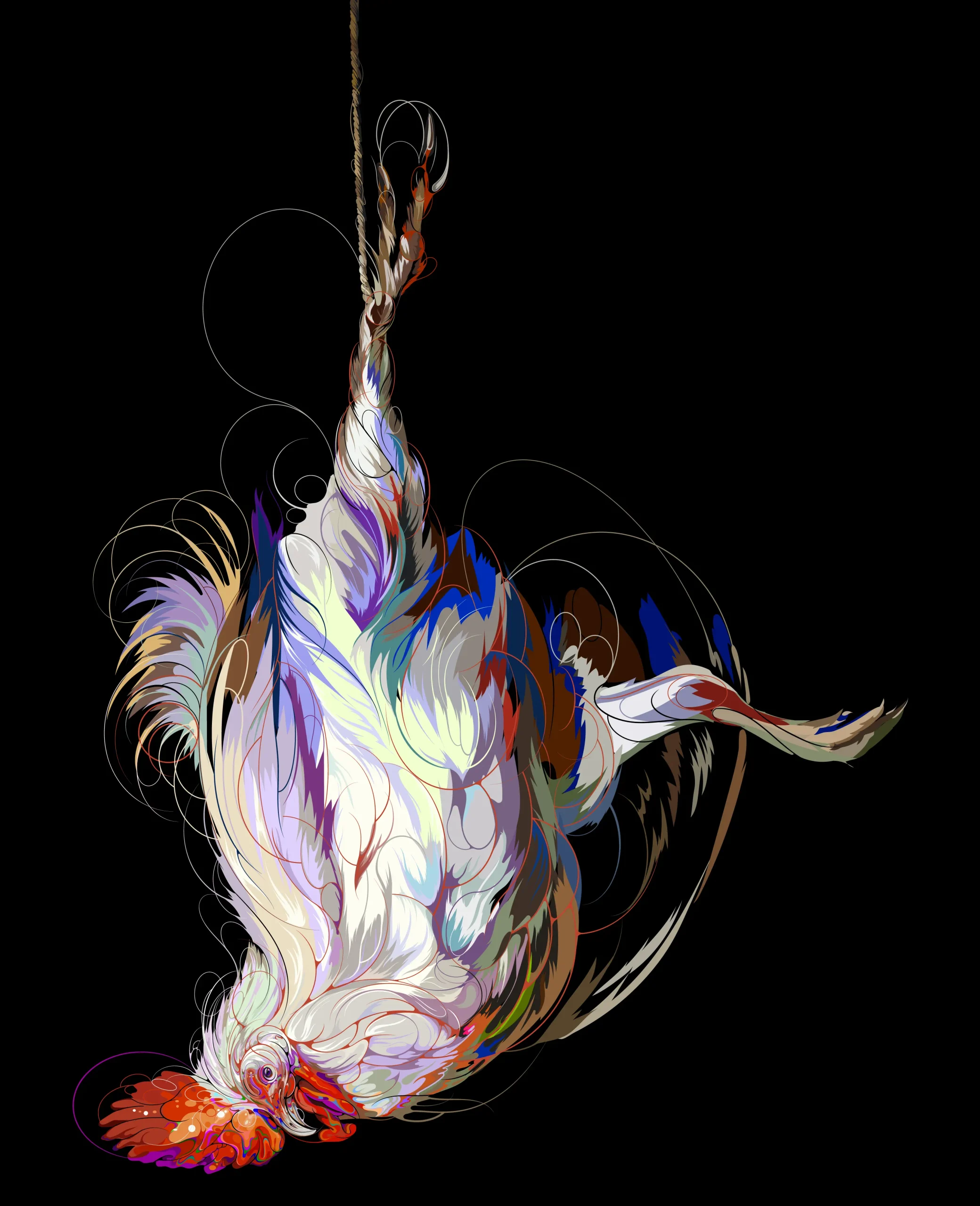 64_gallina_sati_illustration