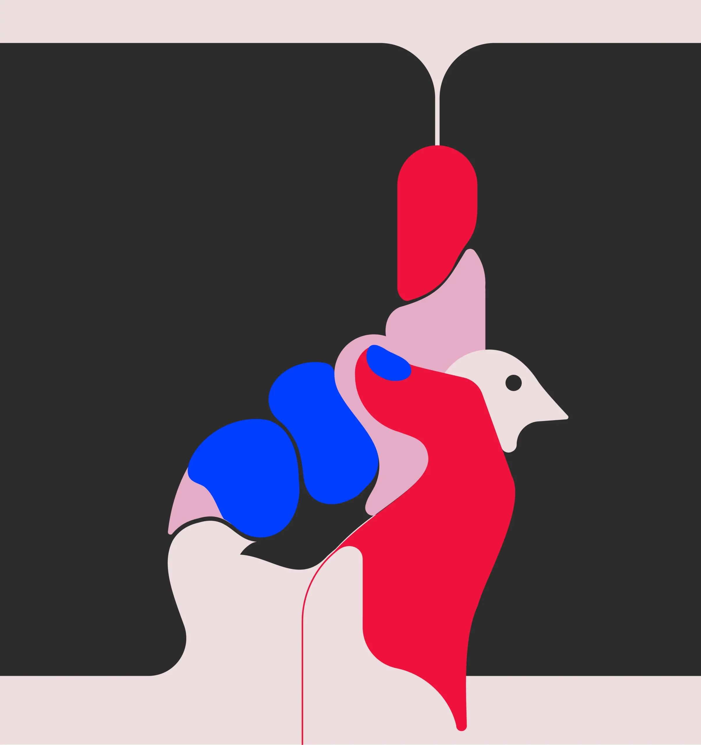 97_pajaromano_sati_illustration