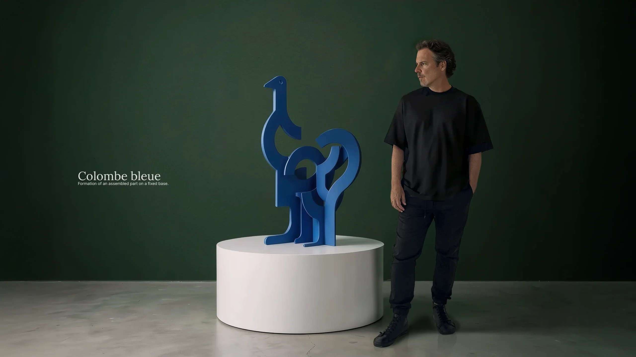 01b_colombe_bleue_cabecera_martinsati