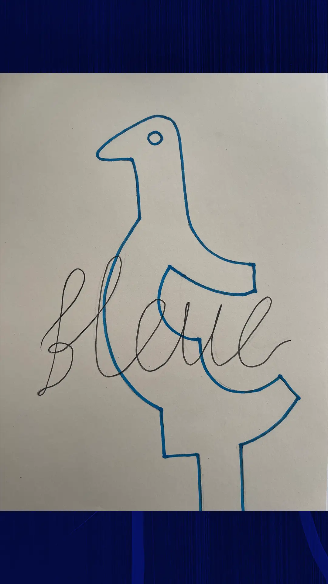 05_colombe_bleue_dibujo4