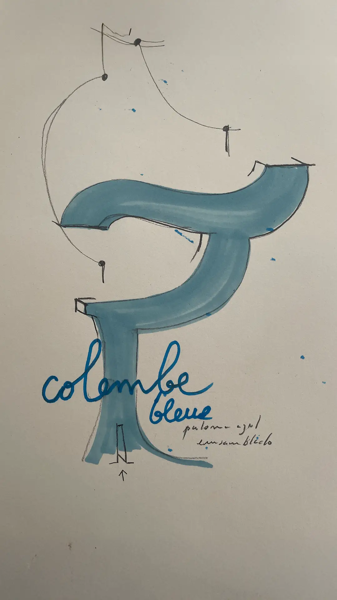 07_colombe_bleue_dibujo6